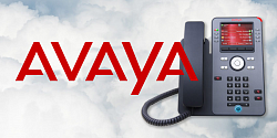 NIHOL предлагает: AVAYA, решения для построения систем унифицированных коммуникаций (UC) для малого и среднего бизнеса