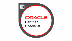 Воспользуйтесь Oracle Exadata Database Machine 