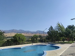 NIHOL: тимбилдинг-2023