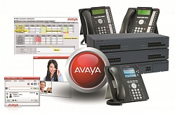 АО «Uzbekistan airways»: внедрение IP телефонии AVAYA